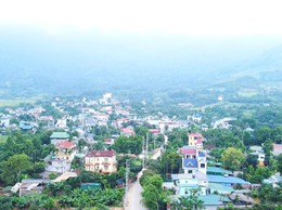 Hà Nội: Từng bước hiện thực hoá mục tiêu “rừng trong phố, phố trong rừng”