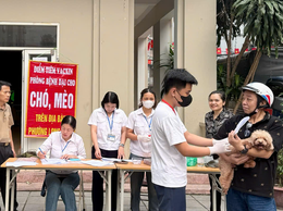 UBND phường Long Biên triển khai tiêm phòng vắc xin Dại cho đàn chó, mèo đợt 1 năm 2026