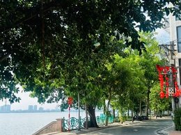 Ngày 08/4/2026, Hà Nội: ngày nắng, có nơi nắng nóng, đêm không mưa