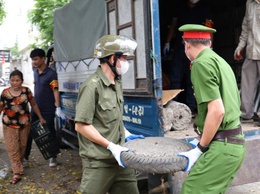 Ban chỉ đạo 197 phường Kiến Hưng duy trì trật tự đô thị: Quyết tâm vì “Đường thông, hè thoáng, đô thị sáng – sạch”