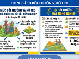 CHÍNH SÁCH BỒI THƯỜNG, HỖ TRỢ