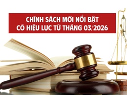 Một số văn bản nổi bật có hiệu lực từ tháng 3 năm 2026