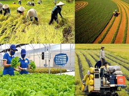 xã Hòa Phú: Triển khai thực hiện Nghị quyết số 53/2025/NQ-HĐND ngày 26/11/2025 của HĐND Thành phố