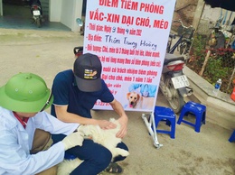 Phú Nghĩa triển khai tiêm phòng đại trà vắc xin cho đàn gia súc, gia cầm đợt 1 năm 2026