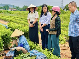 LÃNH ĐẠO XÃ TRUNG GIÃ ĐI KHẢO SÁT, ĐÁNH GIÁ HIỆU QUẢ CÁC MÔ HÌNH KINH TẾ TIÊU BIỂU TRÊN ĐỊA BÀN XÃ