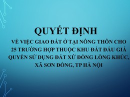 Quyết định về việc giao đất cho 25 trường hợp tại khu đất đấu giá quyền sử dụng đất xứ đồng Lòng Khúc, xã Sơn Đồng