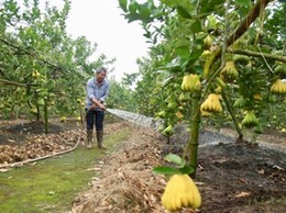 Hà Nội: Từ ngày 18-5, cấp xã được cấp phép xây dựng công trình trên đất nông nghiệp