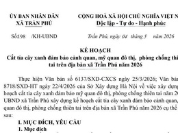 Xã Trần Phú triển khai kế hoạch cắt tỉa cây xanh, đảm bảo mỹ quan và phòng chống thiên tai năm 2026