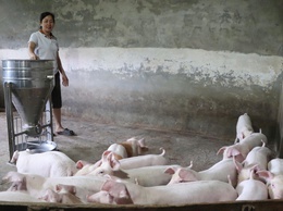 Tấm gương sáng trong phát triển kinh tế và phong trào địa phương.