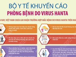 Thượng Phúc tăng cường giám sát, chủ động phòng chống bệnh do vi rút Hanta