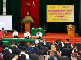 Phiên đấu giá cho thuê đất thuộc Quỹ đất nông nghiệp sử dụng vào mục đích công ích trên địa bàn xã Phú Xuyên