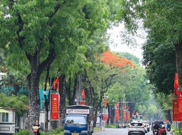 Không khí thi đua chào mừng Đại hội XI MTTQ Việt Nam