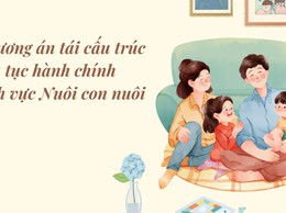 Hà Nội phê duyệt phương án tái cấu trúc thủ tục hành chính lĩnh vực Nuôi con nuôi