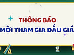 THÔNG BÁO ĐẤU GIÁ QUYỀN SỬ DỤNG ĐẤT TẠI THÔN THẠCH LỖI, XÃ NỘI BÀI