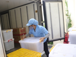 CHỦ CƠ SỞ  KINH DOANH THỰC PHẨM: THỰC HIỆN THỦ TỤC CẤP GIẤY CHỨNG NHẬN AN TOÀN THỰC PHẨM.