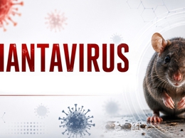 WHO ĐÁNH GIÁ NGUY CƠ LÂY LAN HANTAVIRUS RA CỘNG ĐỒNG Ở MỨC THẤP
