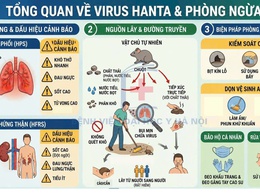 Tuyên truyền tổng quan về virus Hanta và cách phòng ngừa.