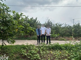Nhanh chóng truy bắt nhóm đối tượng cướp tài sản manh động trên địa bàn phường Long Biên