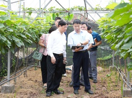 Gỡ khó từ đồng ruộng, tiếp sức cho những mô hình nông nghiệp mới ở Thuận An