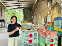 TRANG TRẠI THÀNH ĐÔ – MÔ HÌNH CHĂN NUÔI GÀ HIỆU QUẢ TỪ TINH THẦN DÁM NGHĨ, DÁM LÀM
