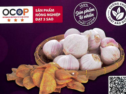 Bản tự công bố sản phẩm Tỏi chiên