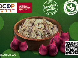 Bản tự công bố sản phẩm Hành sấy
