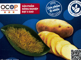 Bản tự công bố sản phẩm Khoai chiên