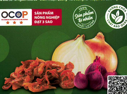 Bản tự công bố sản phẩm Hành phi
