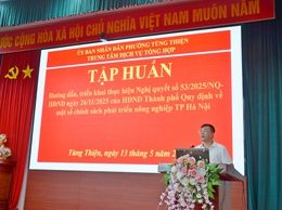 Phường Tùng Thiện tập huấn triển khai Nghị quyết 53, thúc đẩy phát triển nông nghiệp theo hướng hiện đại, bền vững