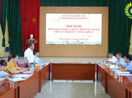 Phú Cát kiểm tra công tác lãnh đạo, chỉ đạo quản lý tài sản công tại Chi bộ Trung tâm Dịch vụ Tổng hợp