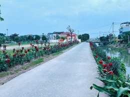 Cụ bà 82 tuổi âm thầm “dệt” sắc hoa trên đường quê