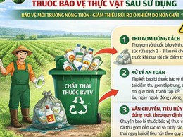 Quốc Oai tăng cường tuyên truyền an toàn thực phẩm trong sản xuất nông nghiệp