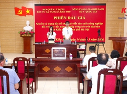 UBND xã Kiều Phú đấu giá thành công quyền sử dụng 7 thửa đất công ích tại thôn Phú Mỹ và Ngọc Than để cho thuê phục vụ sản xuất nông nghiệp.