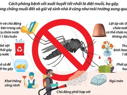 BÀI TUYÊN TRUYỀN: HƯỞNG ỨNG NGÀY ASEAN PHÒNG, CHỐNG SỐT XUẤT HUYẾT LẦN THỨ 16 (15/6/2026)