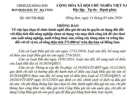 Thông báo số 483/TB-BQL ngày 13 tháng 05 năm 2026 của Ban quản lý Dự án - Đầu tư xã Hồng Sơn về việc Thông báo về việc lựa chọn tổ chức hành nghề đấu giá tài sản...