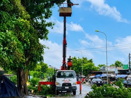 Xã Phú Nghĩa triển khai kế hoạch cắt tỉa cây xanh bảo đảm mỹ quan và phòng chống thiên tai năm 2026