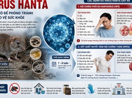 UBND phường Hồng Hà khuyến cáo nhân dân nâng nâng cao ý thức phòng chống dịch bệnh do vi rút Hanta