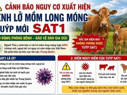 CẢNH BÁO NGUY CƠ XUẤT HIỆN VI RÚT LỞ MỒM LONG MÓNG SEROTYPE SAT1.