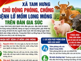 Tam Hưng chủ động phòng, chống bệnh Lở mồm long móng trên đàn gia súc