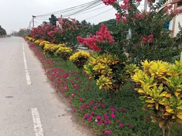 Khí thế thi đua lan tỏa ở thôn Vân Phúc 5 hướng tới kỷ niệm 136 năm Ngày sinh Chủ tịch Hồ Chí Minh và 1 năm thành lập xã Phúc Lộc