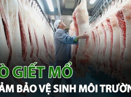 BÀI TUYÊN TRUYỀN: Về bảo đảm an toàn thực phẩm; giết mổ gia súc, gia cầm đúng nơi quy định và sử dụng thực phẩm có nguồn gốc rõ ràng