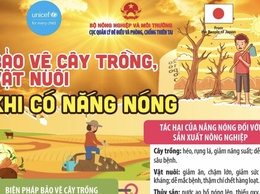 Trung tâm Dịch vụ tổng hợp xã Vĩnh Thanh ban hành hướng dẫn về các biện pháp bảo vệ cây trồng, vật nuôi trong điều kiện nắng nóng