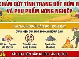TRUNG TÂM DỊCH VỤ TỔNG HỢP XÃ XUÂN MAI: TUYÊN TRUYỀN CHẤM DỨT VIỆC ĐỐT RƠM RẠ, PHỤ PHẨM CÂY TRỒNG