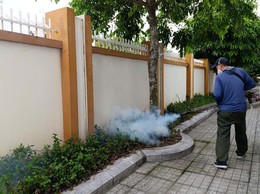 Trường Tiểu học Thúy Lĩnh phối hợp với Trạm y tế phường Lĩnh Nam tổ chức phun thuốc diệt muỗi trong và ngoài khuôn viên trường học