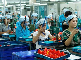 Lĩnh vực công nghiệp hỗ trợ phê duyệt phương án tái cấu trúc thủ tục hành chính lĩnh