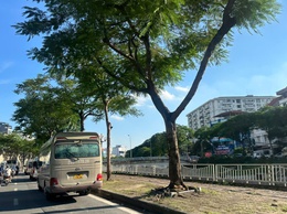 Ngày 16/5/2026, Hà Nội: ngày nắng nóng; chiều và đêm có mưa rào và dông rải rác, cục bộ có nơi mưa to
