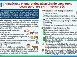KHUYẾN CÁO PHÒNG, CHỐNG BỆNH LỞ MỒM LONG MÓNG (LMLM) SEROTYPE SAT-1 TRÊN GIA SÚC