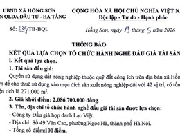 THÔNG BÁO KẾT QUẢ LỰA CHỌN TỔ CHỨC HÀNH NGHỀ ĐẤU GIÁ TÀI SẢN