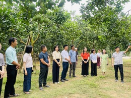 Đoàn công tác Sở Du lịch Hà Nội khảo sát phát triển sản phẩm du lịch nông nghiệp, nông thôn tại xã Phúc Lộc