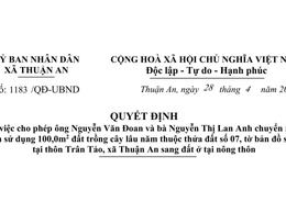Cho phép ông Nguyễn Văn Đoan và bà Nguyễn Thị Lan Anh chuyển mục đích sử dụng 100,0m2 đất trồng cây lâu năm thuộc thửa đất số 07, tờ bản đồ số 49 tại thôn Trân Tảo, xã Thuận An sang đất ở tại nông thôn